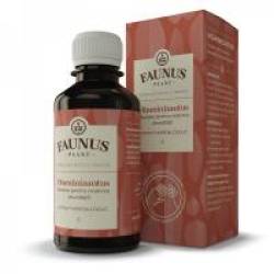Tinctura vitaminizantus 200ml FAUNUS PLANT