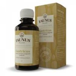 Tinctura gastricus 200ml FAUNUS PLANT
