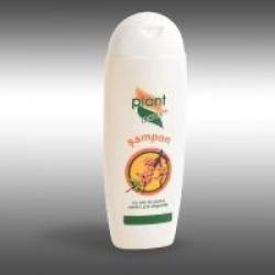 Sampon cu ulei de catina pentru par degradat 200ml PLANT ACTIV