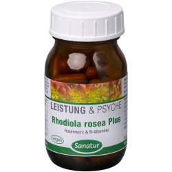 Rhodiola Rosea Plus B-Vitamine Kapseln 60 St