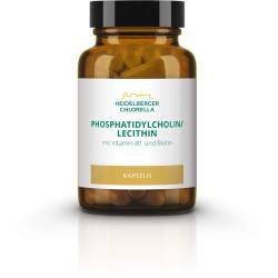 Phosphatidylcholin/Lecithin Phospholipide Kapseln 60 St