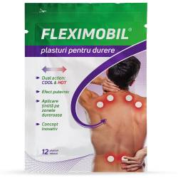 FLEXIMOBIL PLASTURI 12BUC