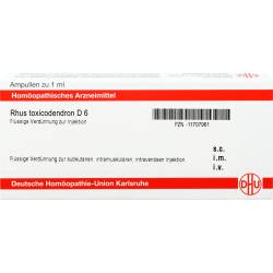 Rhus Toxicodendron D 6 Ampullen 8 ml