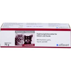 Reconvales Päppelpaste f.Hunde/Katzen 75 g