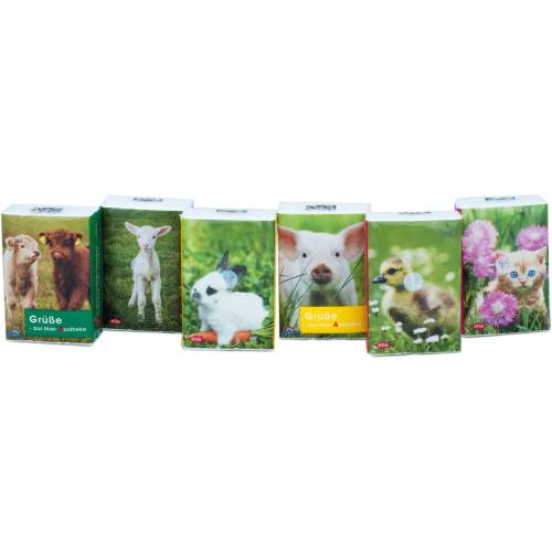 Taschentücher Pocket Tierkinder 1 St