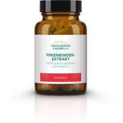 Pinienrindenextrakt Kapseln 60 St