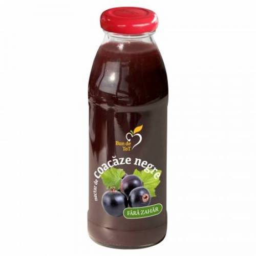 Nectar Coacaz Negru 300ml - Dacia Plant