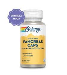 Pancreas Caps 60 capsule