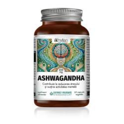Ashwagandha, 60 capsule, Hyllan Pharma
