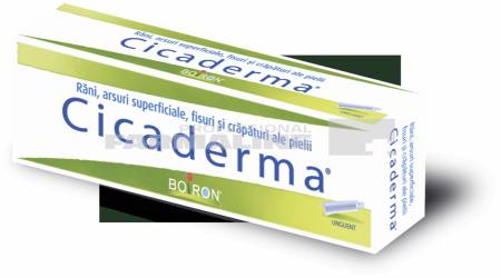 Cicaderma unguent 30 g