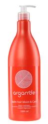 Balsam pentru par hidratant Argan'De, 1000ml, Stapiz