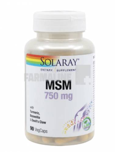 MSM 750 mg 90 capsule