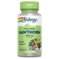 Hawthorn Berry Paducel 1050 mg Solaray 100 capsule, Secom
