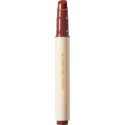 Luciu de buze Honey Melting Lip Nr. 05 Plum, 2.7g, Nature Republic