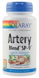 Artery Blend SP - 9 100 capsule