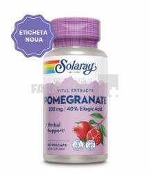 Pomegranate 60 capsule