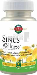 Sinus Wellness 30 tablete