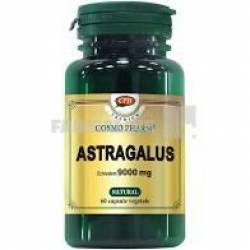 Astragalus 9000 mg 60 capsule + Astragalus 9000 mg 30 capsule Cadou