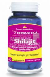 Shilajit Mumio 60 capsule