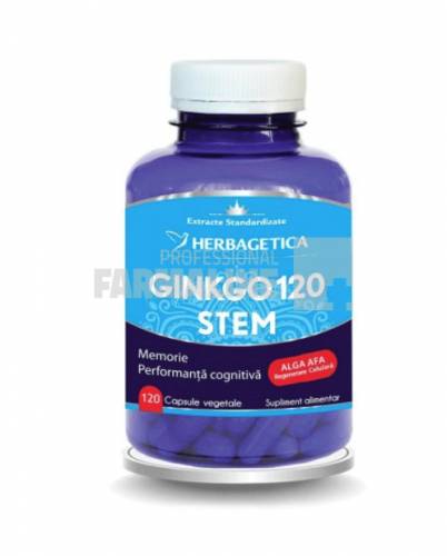 Ginkgo 120 Stem 120 capsule