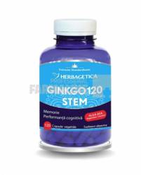 Ginkgo 120 Stem 120 capsule
