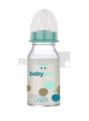 Baby Nova 44606 Biberon sticla decor baiat 0-24 luni 120 ml