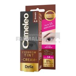 Delia Cosmetic Vopsea pentru gene si sprancene maron 15 g