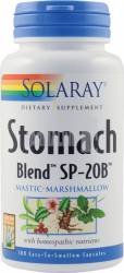 Stomach Blend 100 capsule