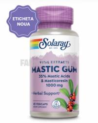 Mastic Gum Extract 45 capsule