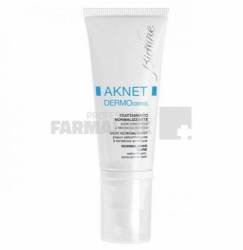 Bionike Aknet Dermo Control Crema de normalizare a tenului seboreic 40 ml