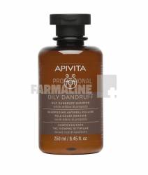 Apivita Hair sampon pentru matreata grasa 250 ml