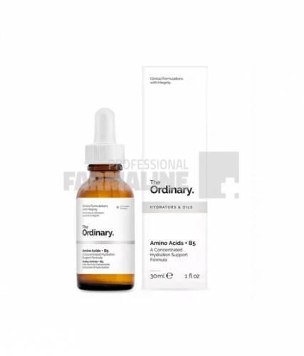 The Ordinary Amino Acizi + B5 30 ml