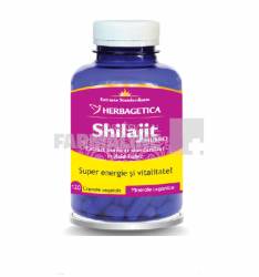 Shilajit Mumio 120 capsule