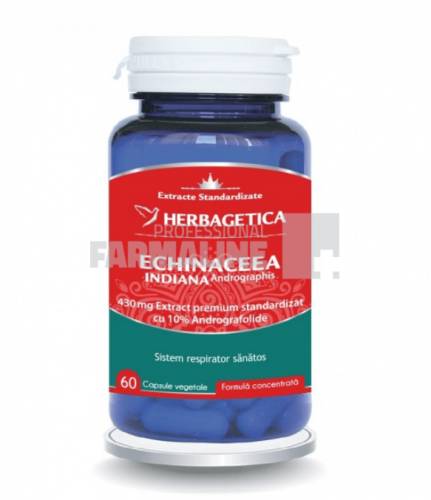 Echinaceea Indiana 60 capsule