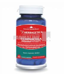 Echinaceea Indiana 60 capsule