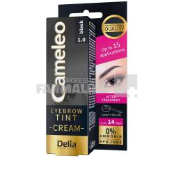 Delia Cosmetic Vopsea pentru gene si sprancene negru 15 g