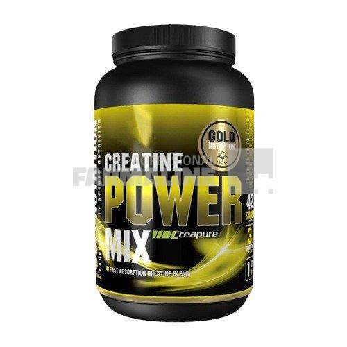 GoldNutrion Creatine Power Mix Mango 1000 g