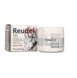 Reudol Gel 150 ml