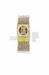 Solaris Plant Seminte de floarea soarelui crude decojite 150 g