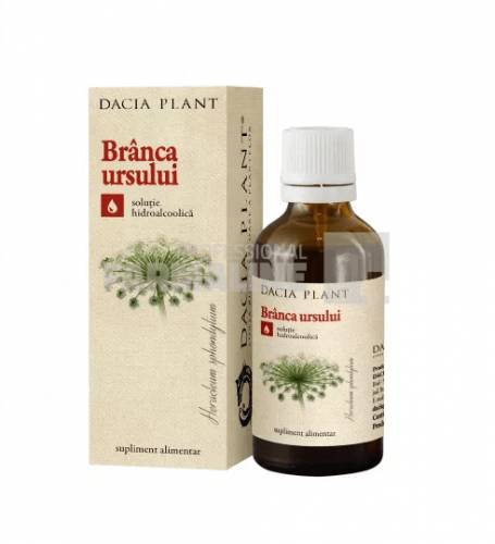 Tinctura de Branca Ursului solutie hidroalcoolica 50 ml