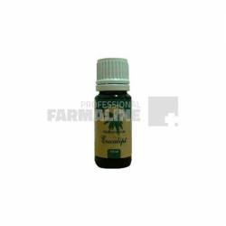 Herbavit Ulei esential de eucalipt 10 ml