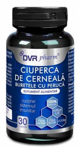 Ciuperca de cerneala 30 capsule - DVR Pharm