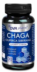Chaga, Ciuperca siberianta 30 capsule - DVR Pharm
