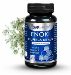 Enoki, Ciuperca de aur 30 capsule - DVR Pharm