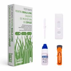 Test rapid boala Lyme