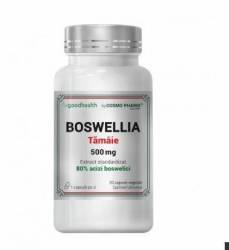 BOSWELLIA TAMAIE, 500 mg, Sustine functia mentala, 30cps -  COSMO PHARM