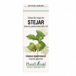 STEJAR - amenti - gemoderivat 50ml - PlantExtrakt