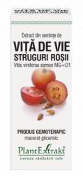 Seminte de struguri rosii - gemoderivat - 50ml - PlantExtrakt