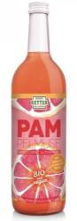 Suc de grapefruit pur, eco-bio, 750ml - Retter