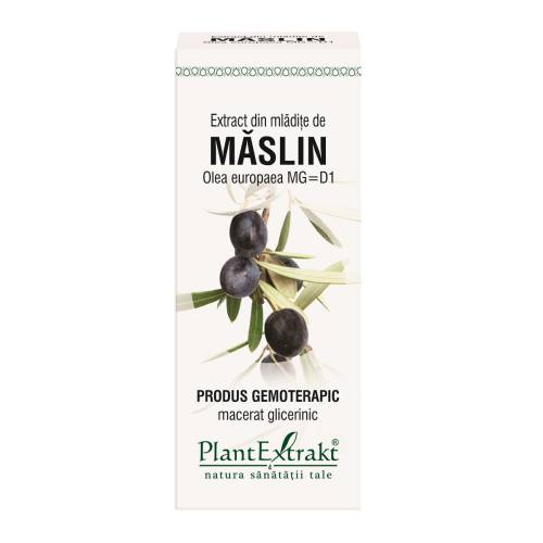 Extract mladite maslin x 50ml (PLX)